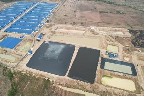 3 công ty chăn nuôi không có giấy phép môi trường bị phạt gần 1 tỷ đồng