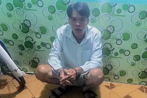Bắt 2 đối tượng gây ra 5 vụ trộm xe liên tỉnh miền Tây