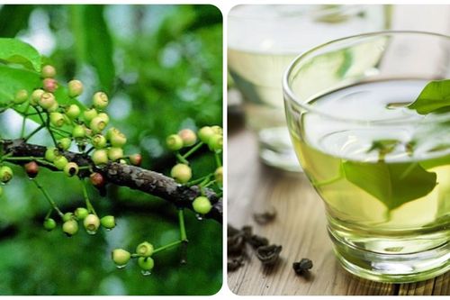 Uống nước vối tươi có tác dụng gì?