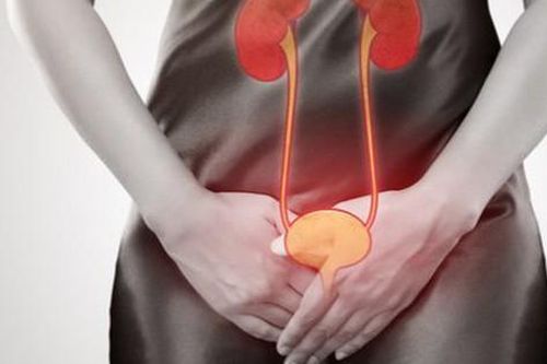 Biện pháp ngăn ngừa mất nước, phòng bệnh tiết niệu trong mùa hè