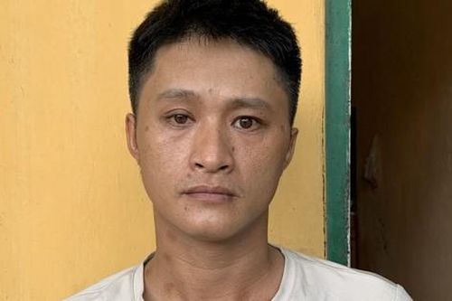 Lừa bán cây gỗ keo chiếm đoạt hơn 300 triệu đồng