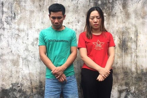 Đánh sập đường dây trộm và tiêu thụ hàng tấn chó