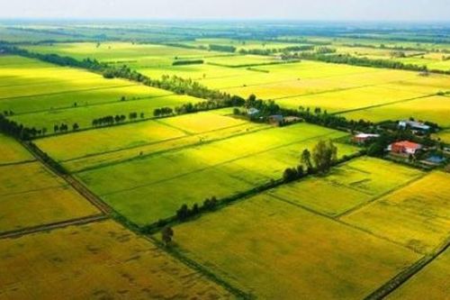 Tổng hợp kết quả lấy ý kiến nhân dân và tiếp thu, hoàn thiện dự án Luật Đất đai (sửa đổi)