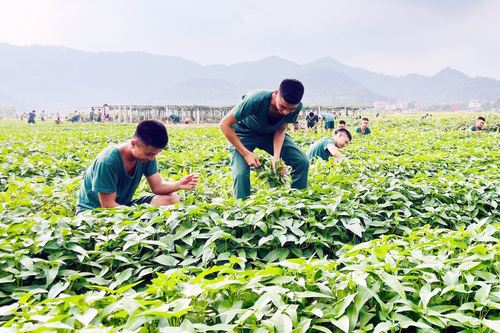 Tiểu đội trưởng: Trách nhiệm và nỗi niềm-Bài 2: Vai trò 'anh cả' và những cái khó