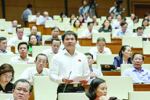 Kỳ vọng TPHCM đi trước, về trước
