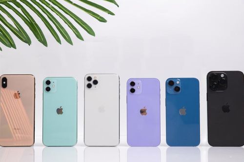 iPhone cũ giảm giá hàng loạt