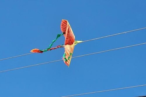 Gỡ diều vướng vào đường dây điện, nam thanh niên bị bỏng nguy kịch
