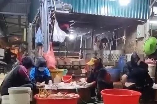 Tràn lan lò giết mổ không phép