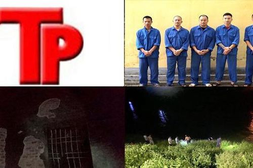 Bản tin Hình sự: Đang ngủ thì bị phóng hỏa, tấn công