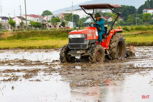 Sản xuất hè thu 'chạy đua' với thời vụ
