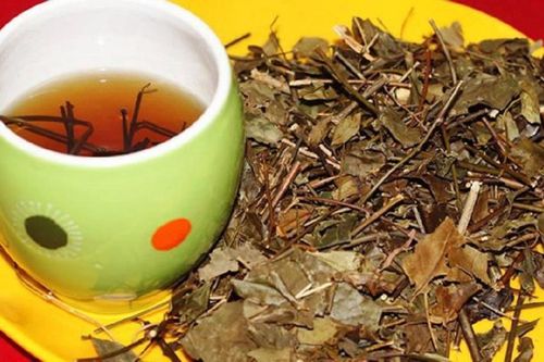 Nước vối cực tốt nhưng cũng 'cực độc' nếu không biết cách dùng