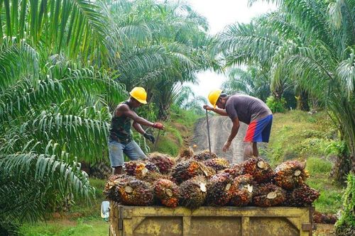 2 quốc gia Đông Nam Á chung tay đương đầu với EU