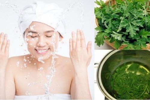 Điểm danh những lợi ích tuyệt vời từ ngải cứu với mái tóc, làn da