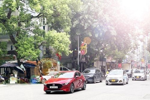 Cách chống nóng ô tô hiệu quả nhất