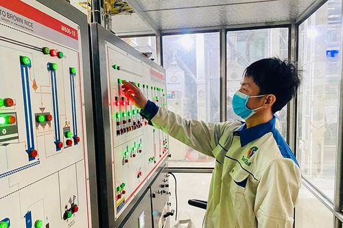 Xây dựng thương hiệu cho các sản phẩm nông thôn