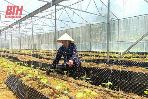 Xây dựng nông thôn mới ở các xã vùng khó huyện Như Thanh