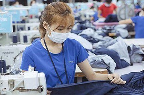 BVSC: Lợi nhuận TNG có thể giảm 1/5 do chiến lược giảm giá bán để duy trì đơn hàng