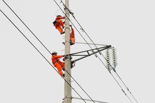 Diễn tập ứng phó và khắc phục thiệt hại do bão gây ra trong khu vực 5 tại Công ty Điện lực Đồng Tháp