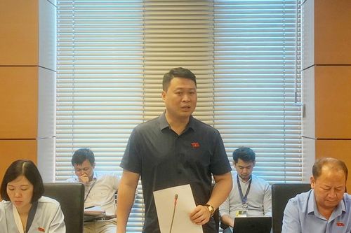 Đại biểu Quốc hội tỉnh Lào Cai tham gia nhiều ý kiến vào dự thảo Luật Đất đai (sửa đổi)