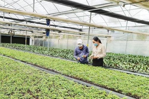 Sáng tạo từ thực tiễn