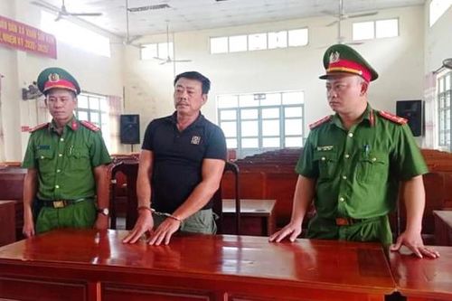 Trộm hơn 4,6 ha rừng keo của người khác để… bán