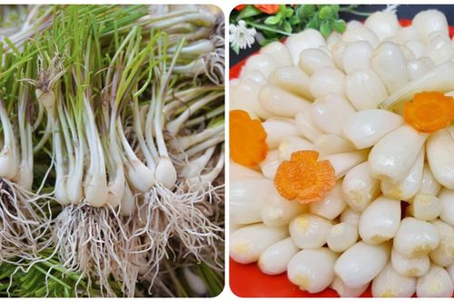 Củ kiệu có tác dụng gì?