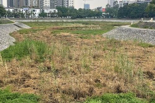 Cận cảnh hồ điều hòa ở Hà Nội cạn trơ đáy, cỏ mọc um tùm