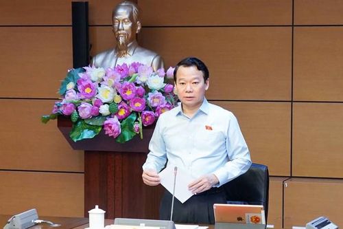 ĐBQH đề xuất rà soát việc thu hồi đất để cung ứng các dịch vụ y tế, dưỡng lão, trường mầm non