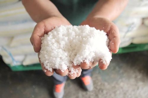 Giá muối tại Hàn Quốc tăng khi Nhật Bản xả nước thải nhà máy hạt nhân