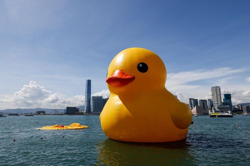 Trời quá nóng, vịt cao su khổng lồ ở cảng Victoria bị xì hơi