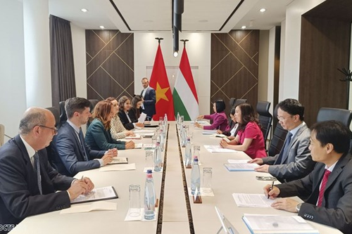 Tăng cường quan hệ Việt Nam - Hungary