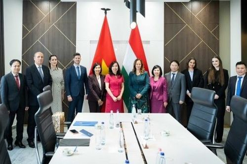 Việt Nam luôn coi trọng và mong muốn tăng cường quan hệ hợp tác nhiều mặt với Hungary