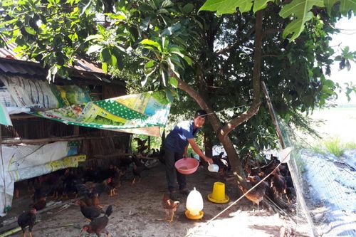 Đổi thay vùng đồng bào dân tộc thiểu số ở Hậu Giang