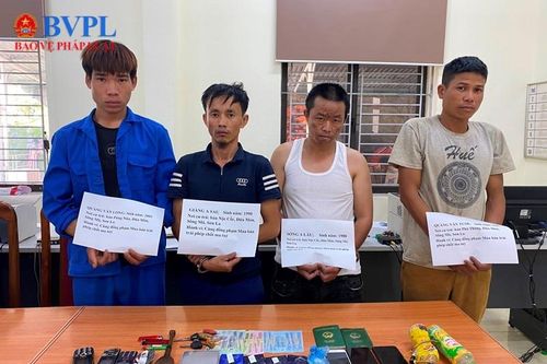 Bắt 16 vụ, 21 đối tượng phạm tội về ma túy
