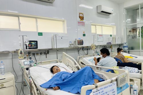 Vụ ngộ độc nấm mọc ra từ xác ve: Chuyển một trẻ em lên TP.HCM điều trị