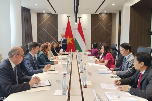 Thúc đẩy quan hệ đối tác toàn diện giữa Việt Nam và Hungary