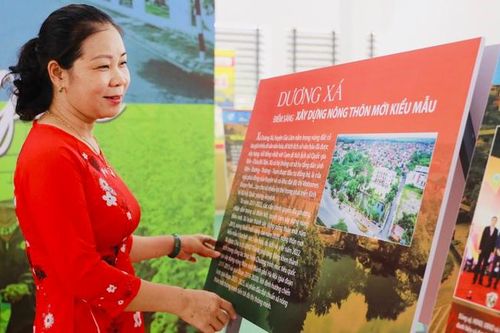 Khai mạc Triển lãm 'Sức sống những miền quê'