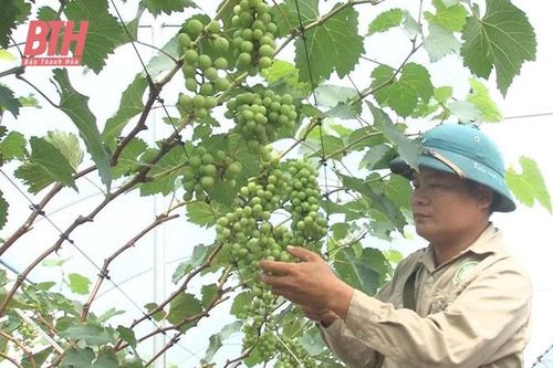 Bí thư đoàn thanh niên học và làm theo Bác