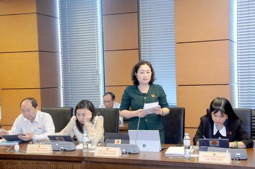 ĐBQH tỉnh tham gia ý kiến vào Dự thảo Luật Căn cước