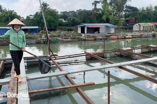 Đồng Nai hành động sớm để chống thiên tai