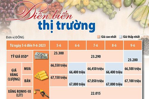 Diễn biến thị trường từ ngày 5-6 đến 9-6-2023