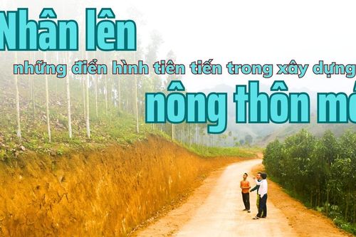 Nhân lên những điển hình trong xây dựng nông thôn mới