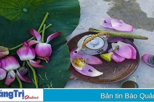 Sen quê thơm ngát sắc hương
