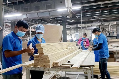 EU thông báo quy định mới đối với một số sản phẩm liên quan đến phá rừng và suy thoái rừng