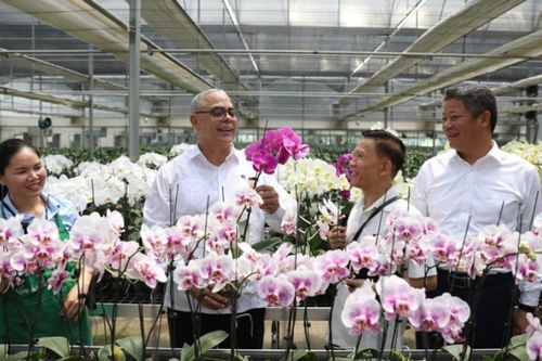 La Habana muốn hợp tác nông nghiệp công nghệ cao với Hà Nội