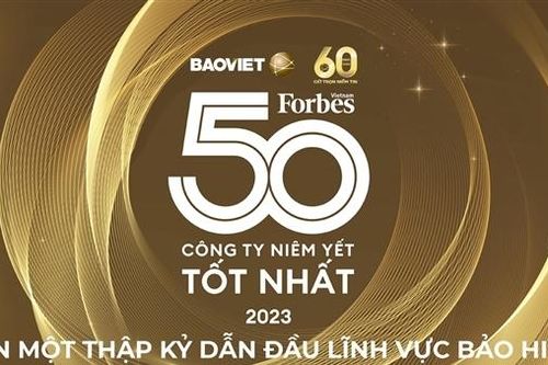 Bảo Việt - hơn một thập kỷ liên tục đứng đầu ngành bảo hiểm