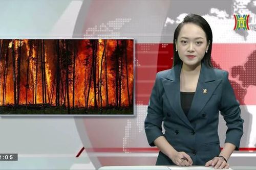 Người Mỹ, Canada 'ngạt thở' vì cháy rừng | Nhìn ra thế giới | 10/06/2023