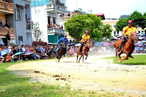 Độc đáo Giải đua ngựa thồ trên cao nguyên trắng Bắc Hà