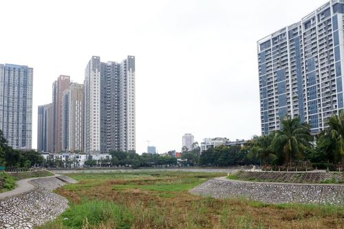 Hà Nội: Không có nước, hồ điều hòa Trung Văn thành hồ 'chết'