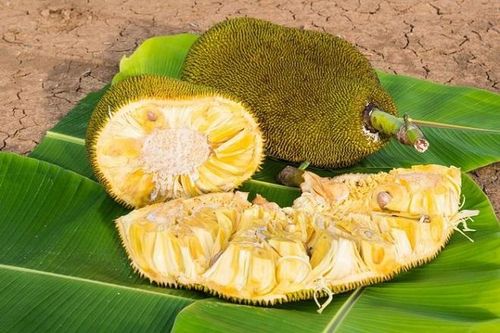 Mít ngon, nhưng bạn nên ăn vào thời điểm nào?